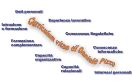 Curriculum vitae di Daniele Pizzo