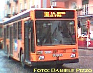 Bus181