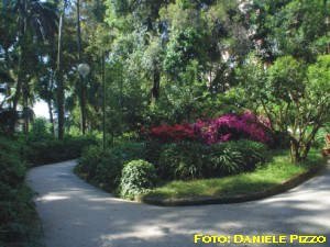 Vegetazione della Floridiana (maggio 2005)