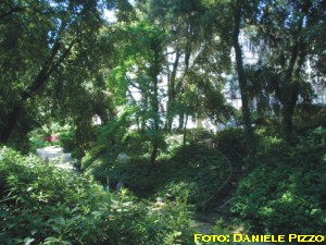 Vegetazione della Floridiana (maggio 2005)
