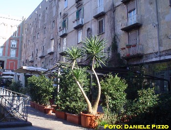 PiazzaBellini2.JPG (40998 byte)