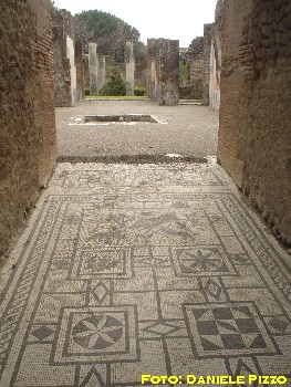 Pompei-Cinghiale.jpg (43542 byte)