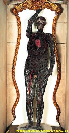 Macchina anatomica nella cappella Sansevero (fonte: www.museosansevero.it)