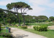 Parchi e ville di Napoli: oasi di verde e tranquillit dal caos cittadino.